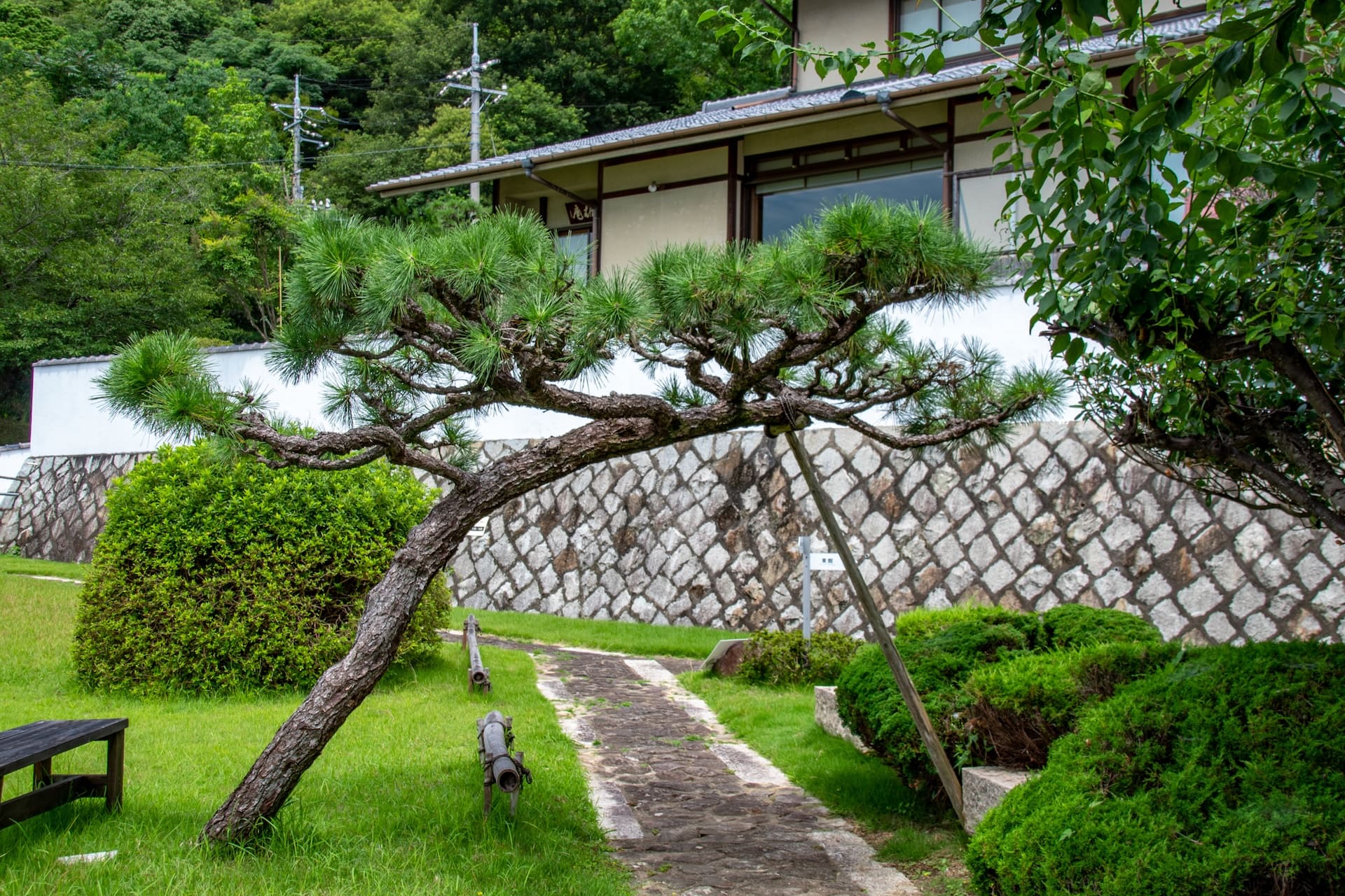 庭木手入れ・年間管理