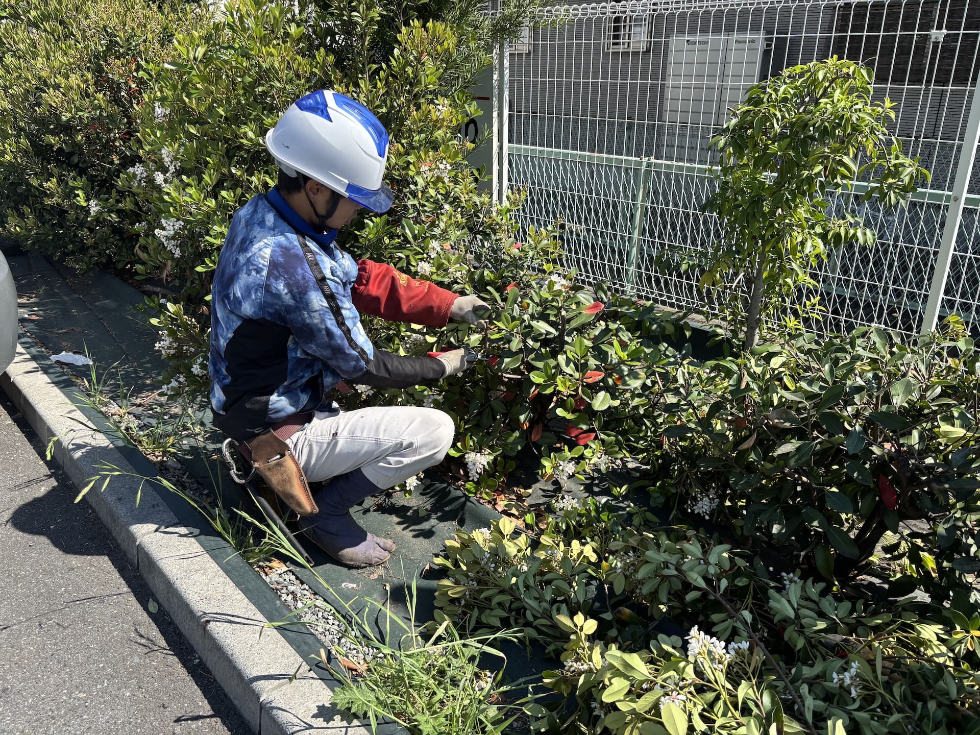埼玉県本庄市・群馬県周辺対応！庭木の剪定・伐採・造園工事なら夏木造園