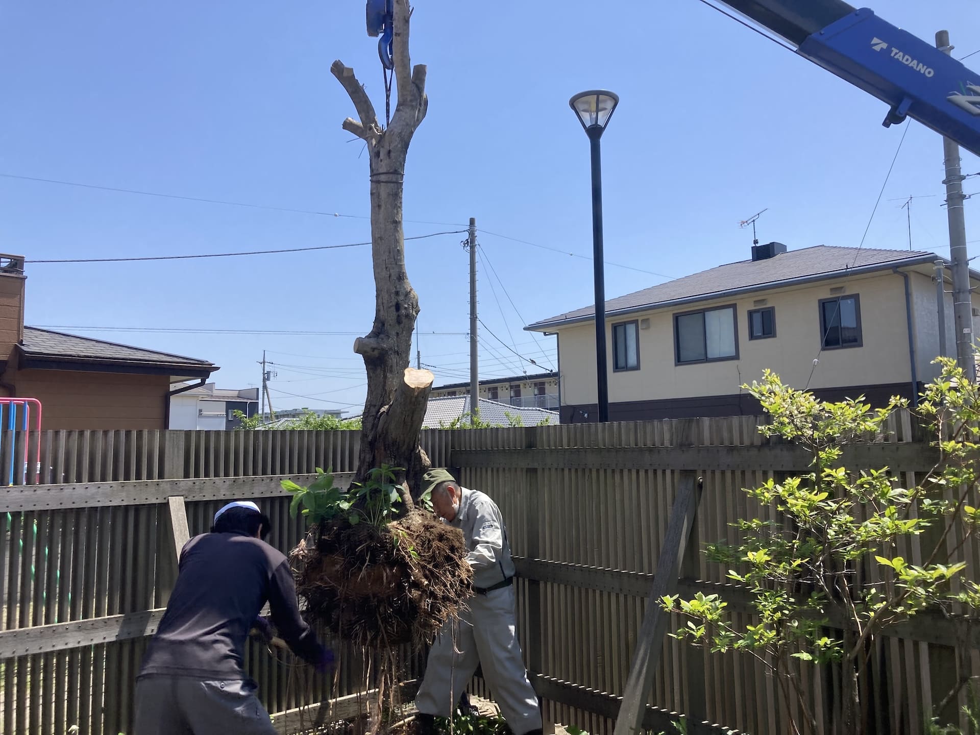 埼玉県本庄市・群馬県周辺対応！庭木の剪定・伐採・造園工事なら夏木造園
