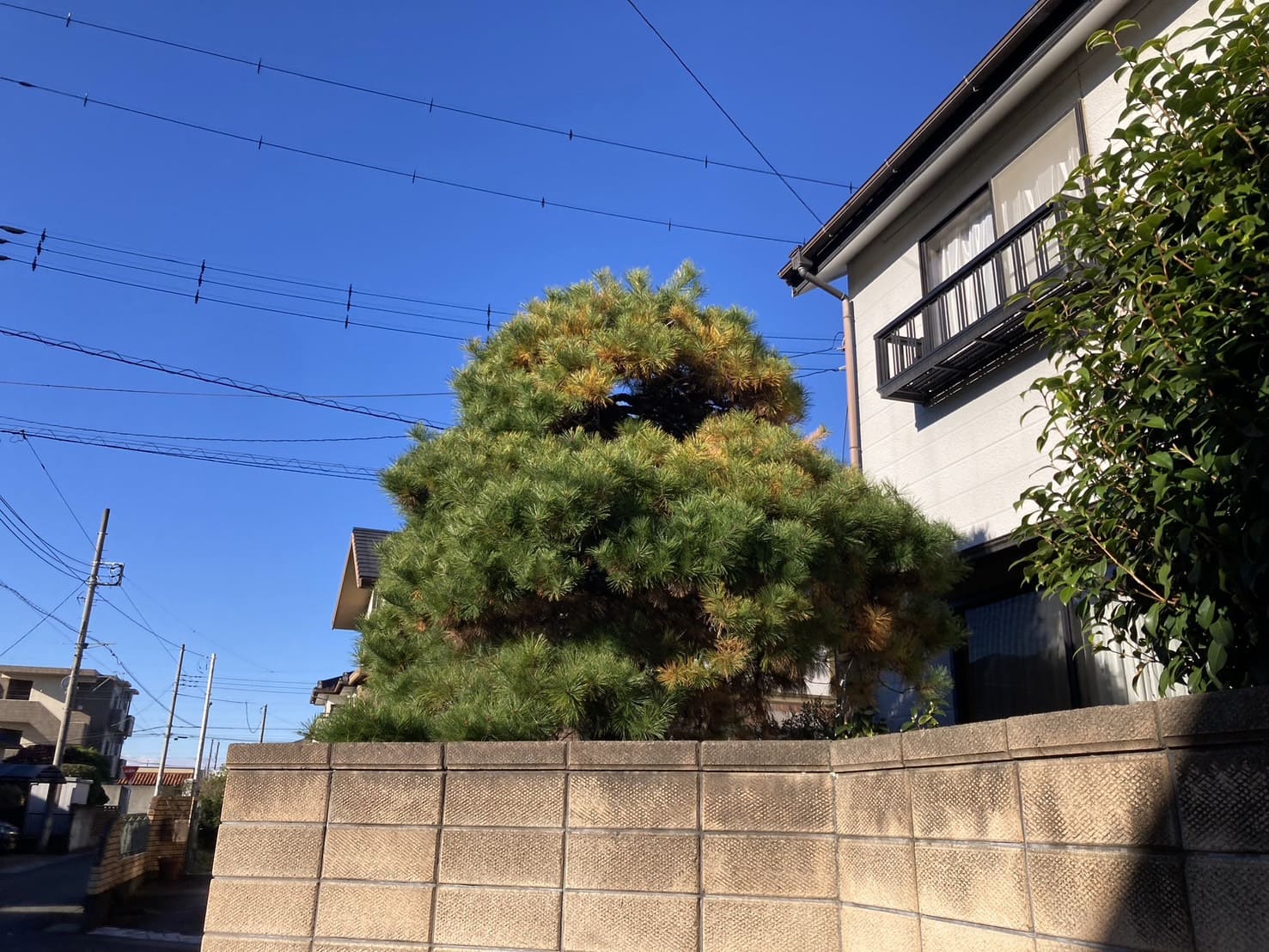 事例紹介