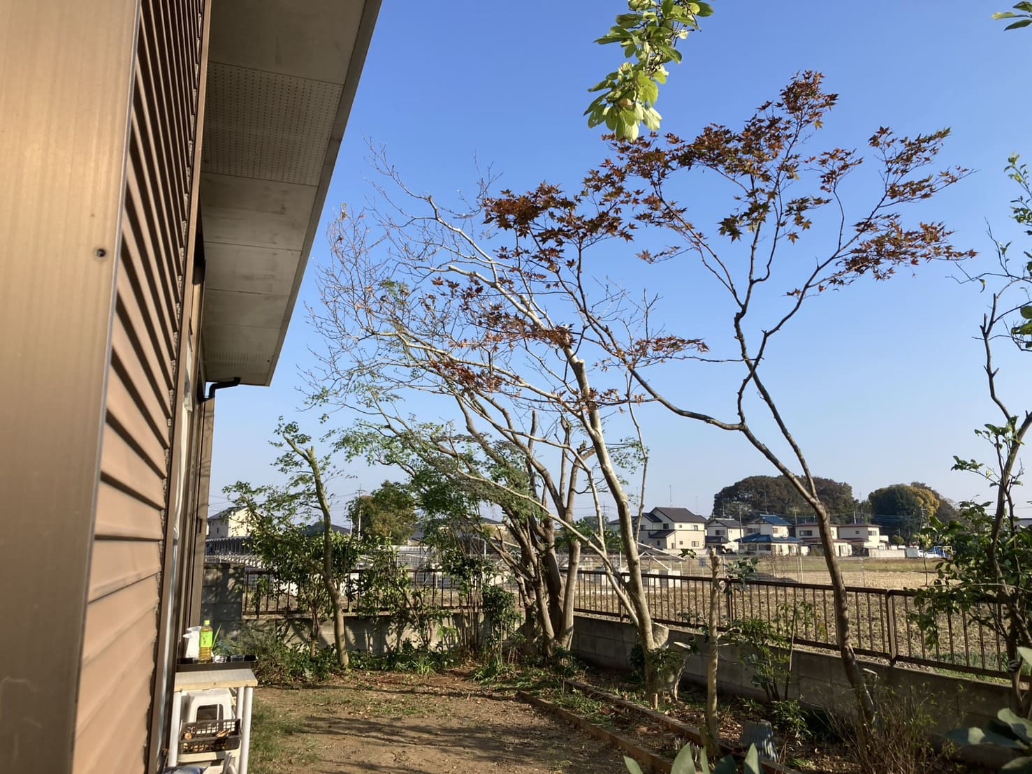 事例紹介